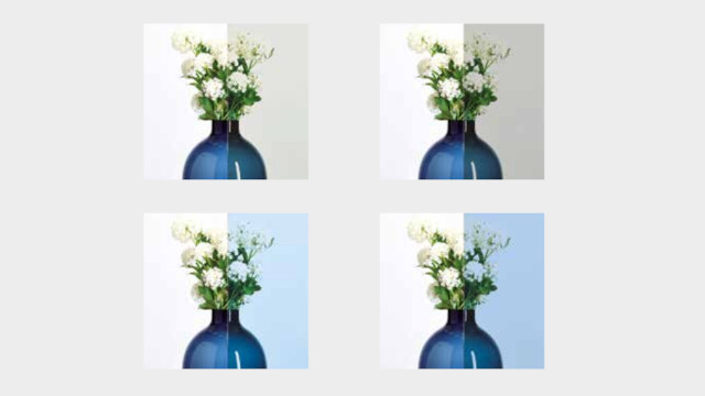 Quattro diversi tipi di vetri schermanti, con immagini di un vetro davanti ad un mazzo di fiori e divise a metà, con brevi box esplicativi, che esemplifica la tonalità e trasparenza del vetro al crescere delle opzioni di protezione da luce e calore