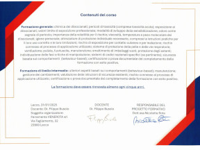 Formazione sull'uso sicuro dei diisocianati Formazione sull'uso sicuro dei diisocianati
