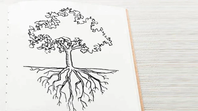 È necessario conoscere gli alberi con competenze professionali: l'amatorialità e la buona volontà non sono sufficienti. Ogni albero ha la sua scheda. È necessario conoscere gli alberi con competenze professionali: l'amatorialità e la buona volontà non sono sufficienti.