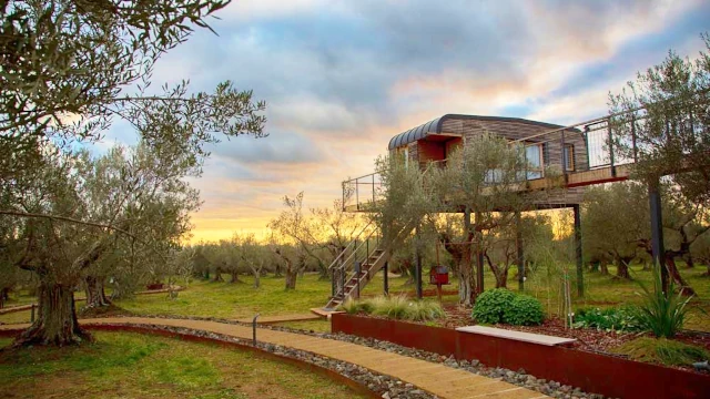 È possibile godere di una sauna o di un bagno turco nella riservatezza stimolante di una casa sull'albero. SPA sull'albero. È possibile godere di una sauna o di un bagno turco nella riservatezza stimolante di una casa sull'albero.